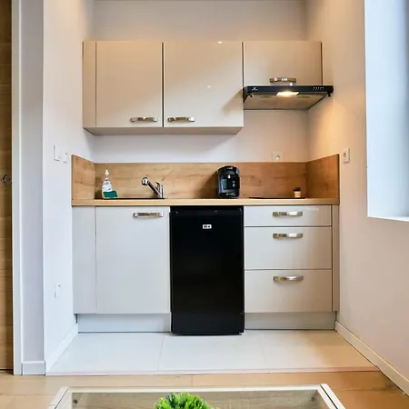 Apartment Proche De La Gare Flandres Lille