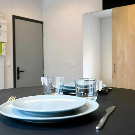 Appartement Proche De La Gare Flandres Rijsel